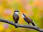 Sue Hsu's photo