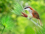 Sue Hsu's photo