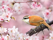 Sue Hsu's photo