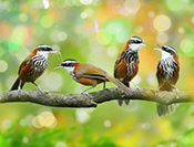 Sue Hsu's photo