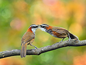 Sue Hsu's photo