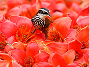 Sue Hsu's photo