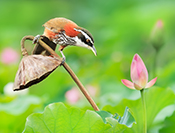 Sue Hsu's photo
