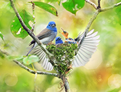 Sue Hsu's photo