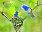Sue Hsu's photo