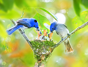 Sue Hsu's photo