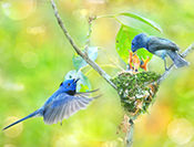 Sue Hsu's photo