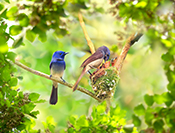 Sue Hsu's photo
