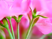 Sue Hsu's photo