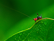 Sue Hsu's photo