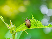 Sue Hsu's photo