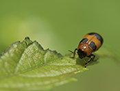 Sue Hsu's photo