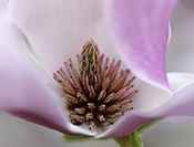 Sue Hsu's photo