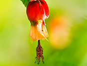 Sue Hsu's photo