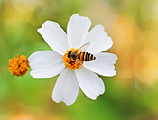 Sue Hsu's photo