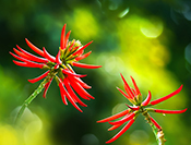 Sue Hsu's photo