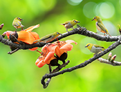 Sue Hsu's photo