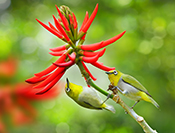 Sue Hsu's photo