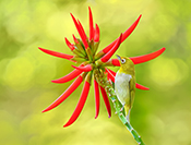 Sue Hsu's photo
