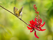 Sue Hsu's photo