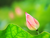 sue hsu's photo