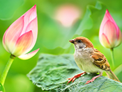 sue hsu's photo