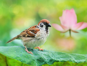sue hsu's photo