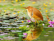 sue hsu's photo