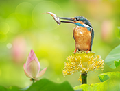 sue hsu's photo