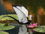 sue hsu's photo