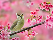 Sue Hsu's photo
