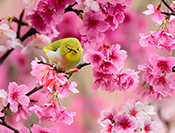 Sue Hsu's photo