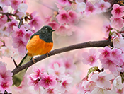 Sue Hsu's photo