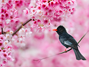 Sue Hsu's photo