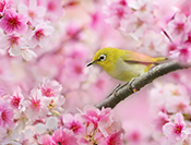 Sue Hsu's photo