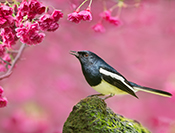 Sue Hsu's photo