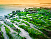 Sue Hsu's photo