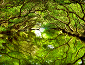 Sue Hsu's photo