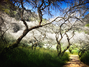 Sue Hsu's photo