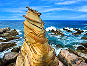 Sue Hsu's photo
