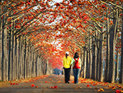 Sue Hsu's photo