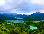 Sue Hsu's photo