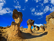 Sue Hsu's photo