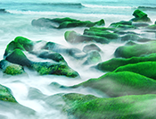 Sue Hsu's photo