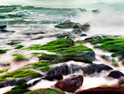Sue Hsu's photo