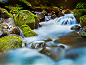 Sue Hsu's photo