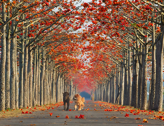 Sue Hsu's photo