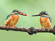 sue hsu's photo